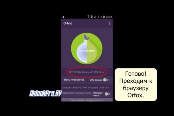 Darknet как войти