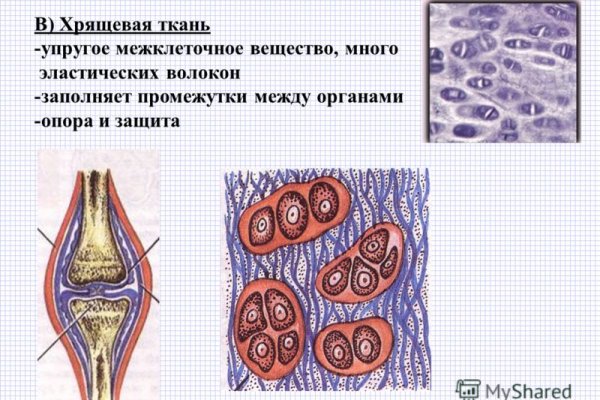 Кракен сайт сегодня