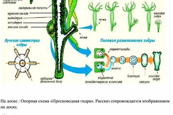 Кракен сайт kr2web in